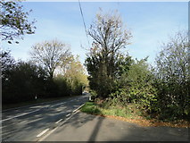 TG1128 : B1149 to Corpusty from the driveway of Wild Acres by Adrian S Pye
