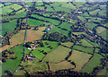 Weyhurst Copse from the air