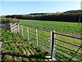 Arable land, south of Old Barnstaple Road