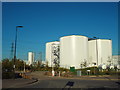 TQ4882 : Reef Street and bio-energy plant, Dagenham by Malc McDonald