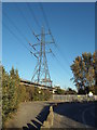 TQ4982 : Electricity pylon in Dagenham by Malc McDonald