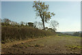 SX5071 : Field boundary near Sortridge by Derek Harper