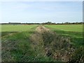 Field drain off Moor Road