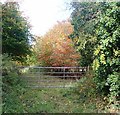 Field lane off Church Road