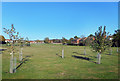 Jubilee Orchard, Oakley