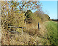 Path into the Hedge