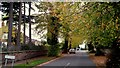 The Avenue, Ross-on-Wye