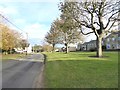 NZ1350 : Iveston village green by Oliver Dixon