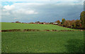 Crop Fields Near Great Crakehall