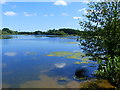 Lake in the grounds of Delapre Abbey, Northampton