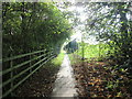 Footpath parallel to the Trans Pennine Trail near Inkersall Green