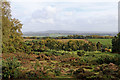 Heathland, farmland and woodland near Kinver in Staffordshire