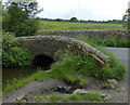 Bridge crossing the Wanless Water