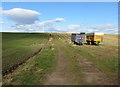 Fields near East Pitforthie separated by a farm track