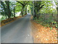 Old Maesycwmmer Road, just north of the Nant-y-Ffrwd