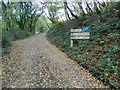 Track to Mynydd Dimlaith Common