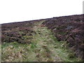 NO6480 : Footpath on Cairn o' Mount by Peter Wood