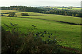 Farmland around Rose Hill