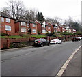 Usk Road detached houses, New Inn