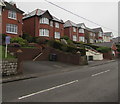 Houses above the north side of Usk Road, New Inn