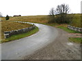 Road crossing the Bridge of Forteath near Craiglewe