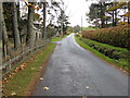 Minor road near Dumeath