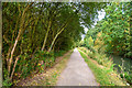 Chesterfield : Chesterfield Canal