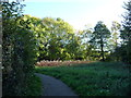 Public footpath, Ashgate valley, Chesterfield