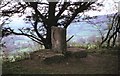 SO8309 : Siege Stone reminder - Haresfield, Gloucestershire by Martin Richard Phelan