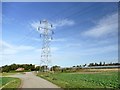 Electricity pylon at Tripping Hows Farm