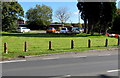 Poppies on concrete posts, Blackmill Road, Bryncethin