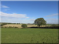 Farmland near Woodhouse farm