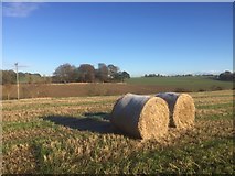 NT1168 : Cropped fields west of Wilkieston by Alan Reid