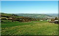 Yorkshire Farmland View