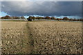 Footpath to Collingtree