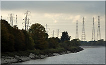 SD5029 : Pylons, lots of pylons by Thomas Nugent