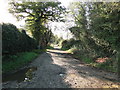 TL9691 : Driveway leading to Hill House by Adrian S Pye