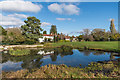 Pond, Bradmore Green