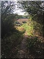 Gap in hedge for bridleway