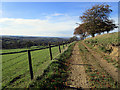 Bridleway from Meadows Farm to Mellor