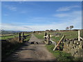 Sheffield Country Walk at Low Ash Common