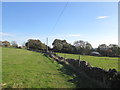 Sheffield Country Walk west of Holdworth Hall