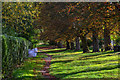 SK4173 : Brimington : Ringwood Park by Lewis Clarke