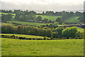 Brimington : Grassy Field