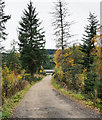 NO0662 : Estate road approaching Enochdhu by Trevor Littlewood