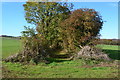 Path between fields south of Bush Farm