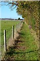 Field-edge path at Nether Wallop