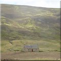NO1485 : House at Newbigging, Glen Clunie by Alpin Stewart