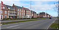 New houses along Tay Road