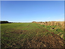 TA2569 : Field edge near Old Fall by Jonathan Thacker